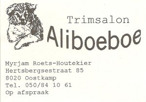 Aliboeboe